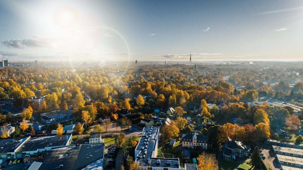 Aerial view of a Montreal neighbourhood in autumn